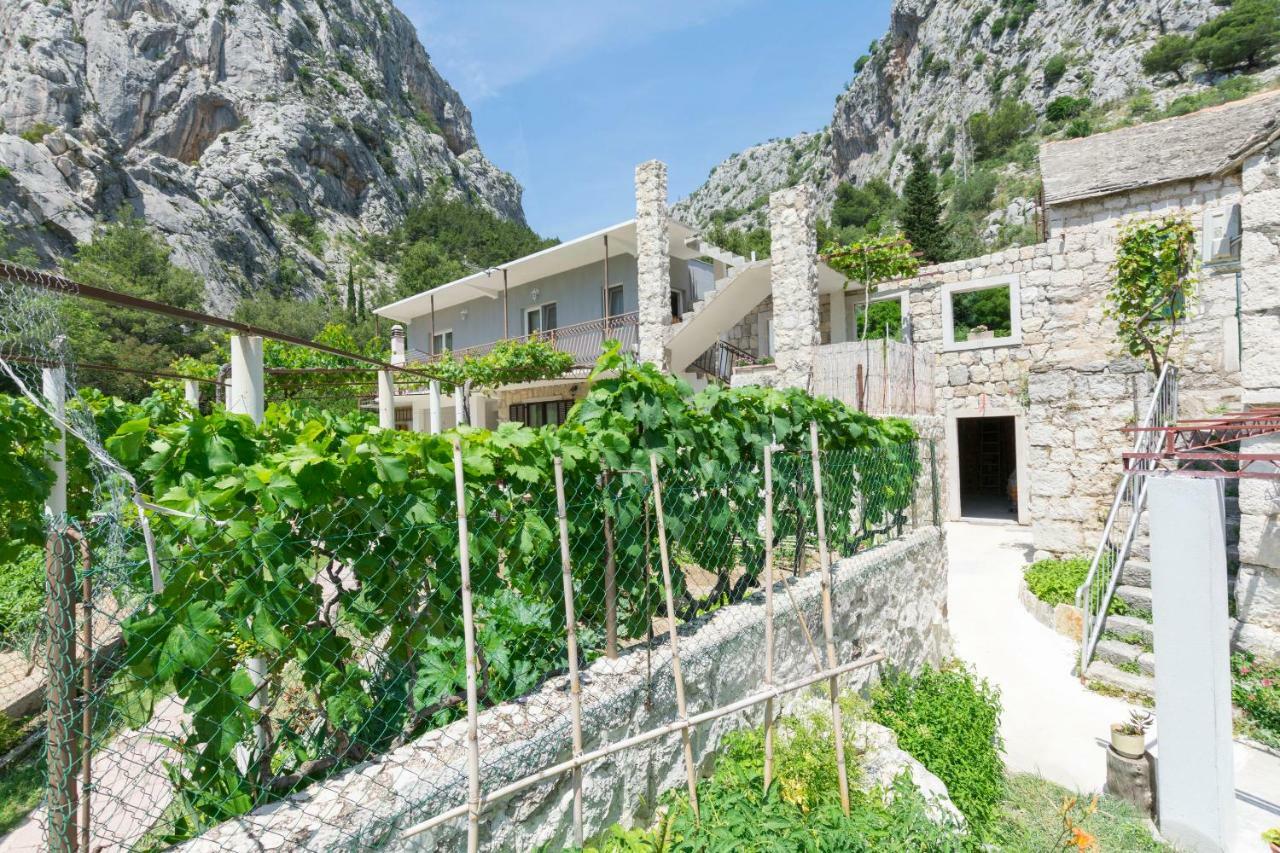Apartment Petea Omis Exterior photo